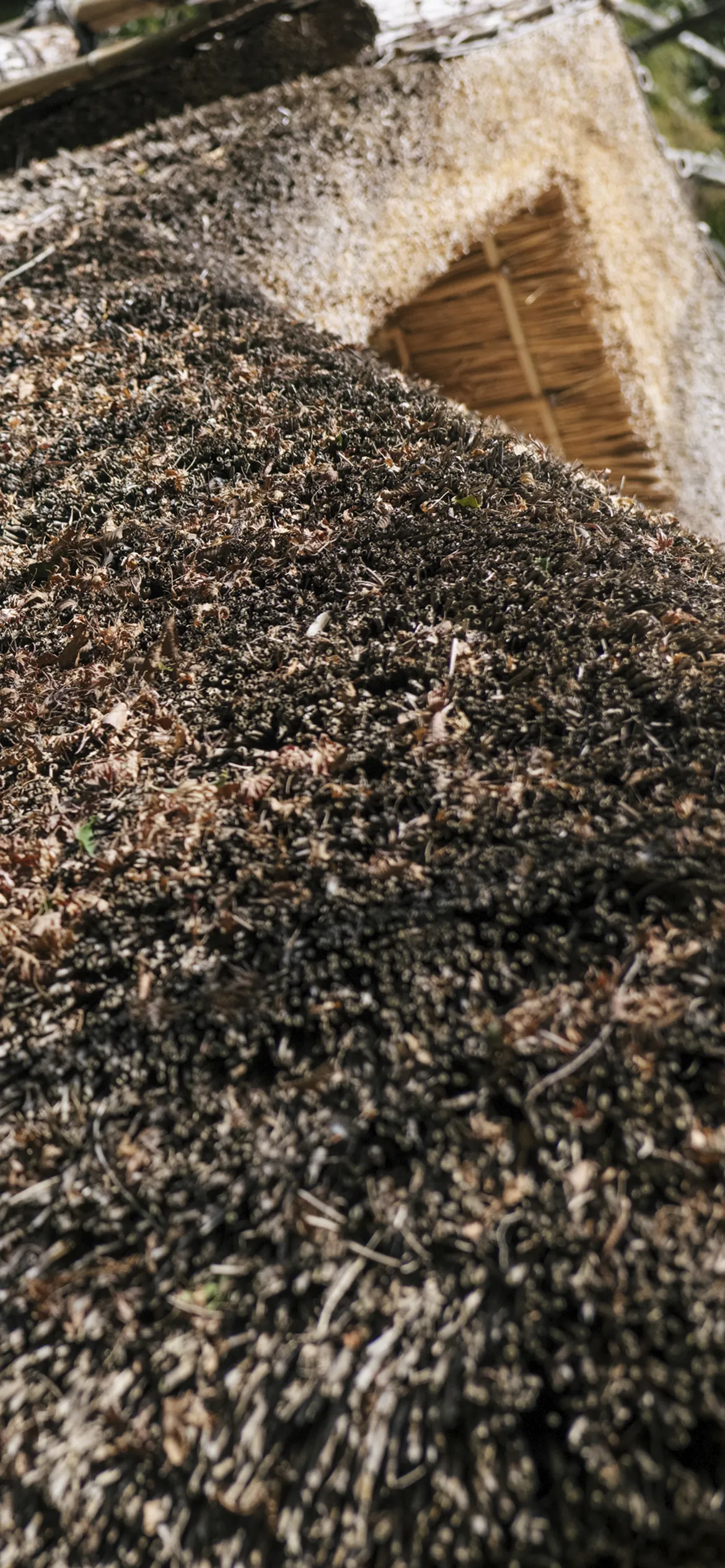 イメージ画像2
